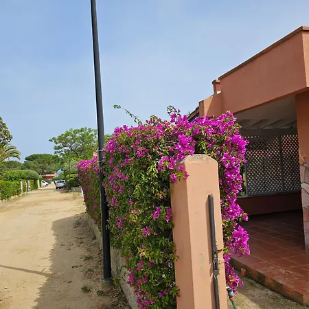 Sunrise Luna Tatil Evi